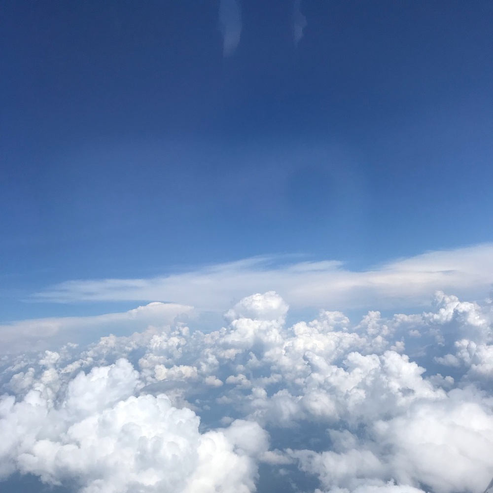 Meet your Posher, Medlin